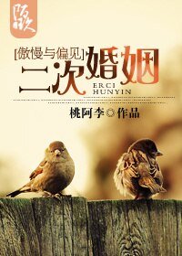 《(傲慢与偏见同人)二次婚姻》