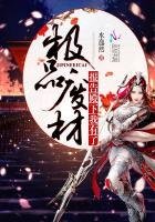 《极品废材:报告殿下,我有了》