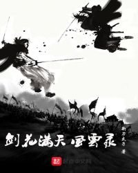 剑花满天风云录