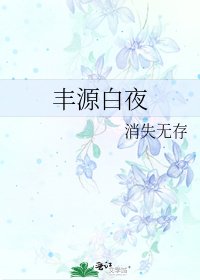 《丰源白夜》