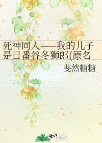 《死神同人——我的儿子是日番谷冬狮郎(原名:雪舞艳容)》