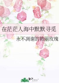 《在茫茫人海中默默寻觅》